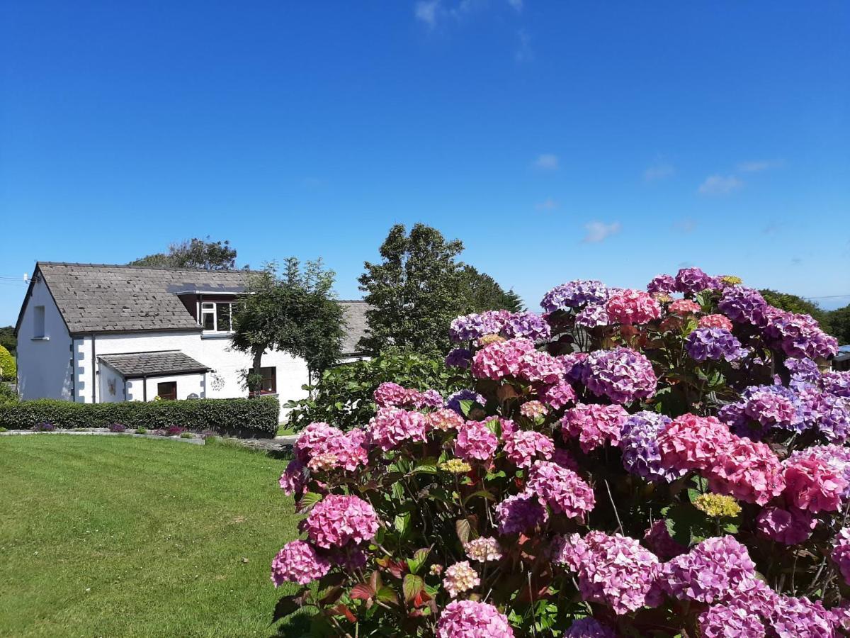 Trenewydd Farm Holiday Cottages Кардиган Экстерьер фото