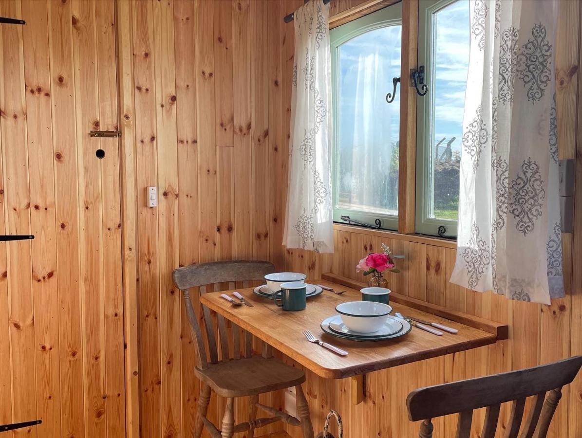 Trenewydd Farm Holiday Cottages Кардиган Номер фото